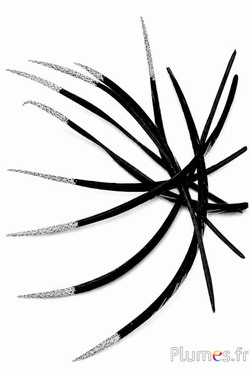 Oca lustrini argentati - 16-18 cm - nera